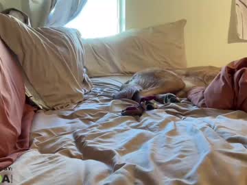hot cam girl cxbraj image #4417605