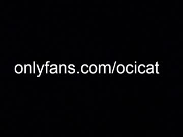 hot cam girl ocicat image #3579697