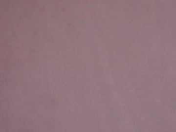 hot cam girl shycinderella image #1183490