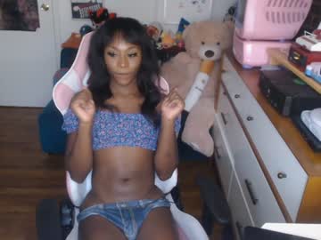 hot cam tranny vanniall image #424160