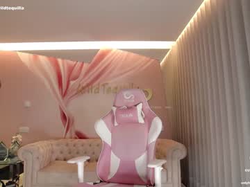 hot cam girl wildtequilla image #3856625