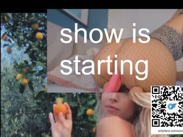 hot cam girl ocicat image #4467155