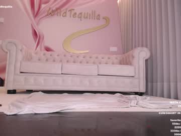 hot cam girl wildtequilla image #2128900