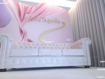 hot cam girl wildtequilla image #3349583