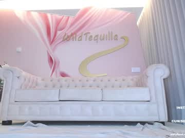 hot cam girl wildtequilla image #3488295