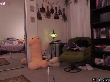hot cam girl evelynpiers image #2763155