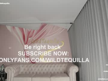 hot cam girl wildtequilla image #3320245