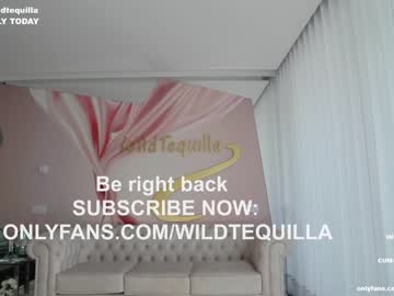 hot cam girl wildtequilla image #3114153
