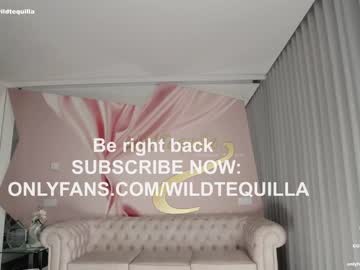 hot cam girl wildtequilla image #3750816