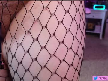 hot cam girl scarlettpython1 image #4324807