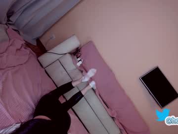 hot cam girl hollyextra image #1945747