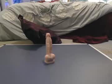 hot cam girl brookie2212 image #2718959