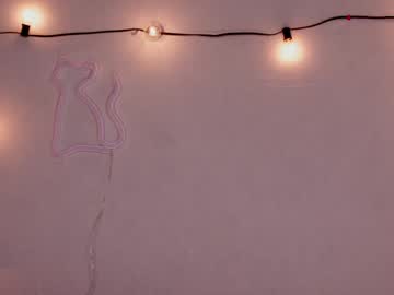 hot cam girl shycinderella image #1153976