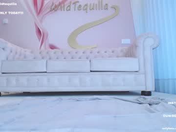 hot cam girl wildtequilla image #2942848