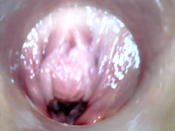 hot cam girl xxs_pie image #1430294