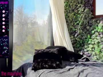 hot cam girl sassyt33n image #2613062