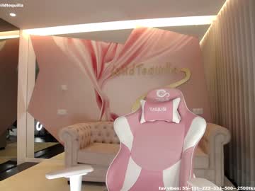 hot cam girl wildtequilla image #1855487