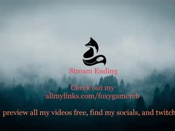 hot cam girl foxy_gamer image #2598214