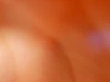 hot cam girl littlee33 image #79782
