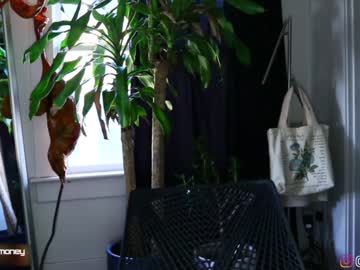 hot cam girl maeveminx image #2214873