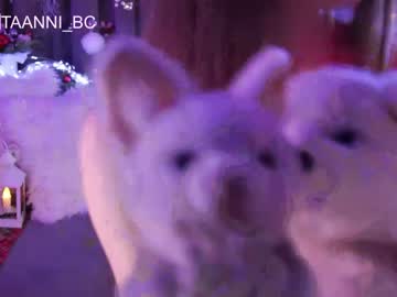 hot cam girl taanni_bc image #2288121