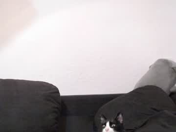 hot cam girl ohmysweetkitty image #1766066