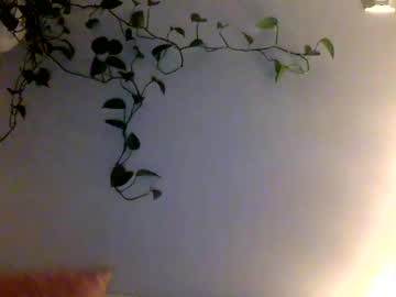 hot cam girl shygirllxo image #1039840