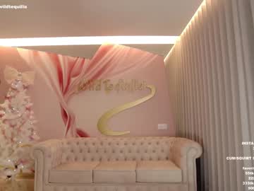 hot cam girl wildtequilla image #2205796