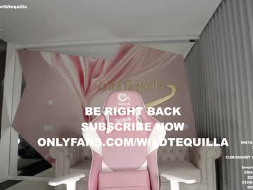hot cam girl wildtequilla image #2128050