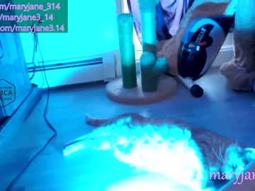 hot cam girl maryjane_314 image #1588710