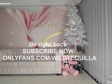hot cam girl wildtequilla image #3885030
