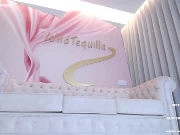 hot cam girl wildtequilla image #3756211