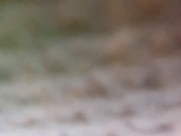 hot cam man theboyjacc image #570365