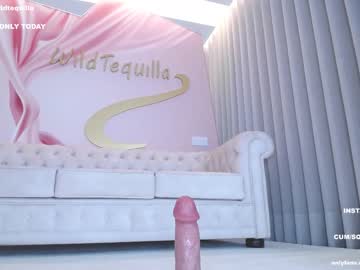 hot cam girl wildtequilla image #2986618