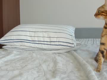 hot cam girl coy_t66nager image #2736048