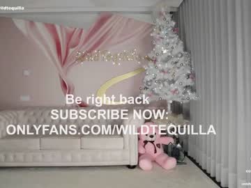 hot cam girl wildtequilla image #3884910