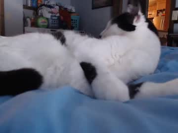 hot cam man lancehardin image #4099226