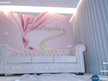 hot cam girl wildtequilla image #2828905