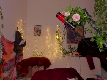 hot cam girl kaveskiki image #569893