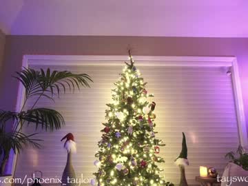 hot cam girl phoenix_taylor image #2134494