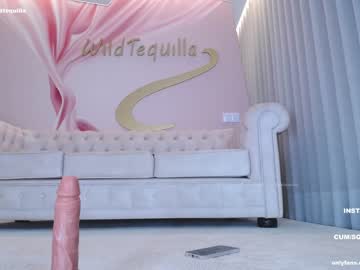 hot cam girl wildtequilla image #3429752