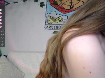 hot cam girl shycinderella image #2518201