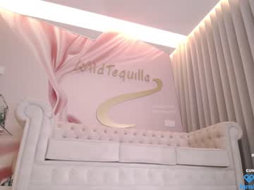 hot cam girl wildtequilla image #4384317