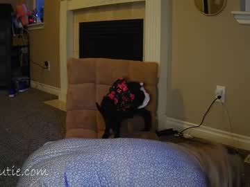 hot cam girl _shycutie image #4522974