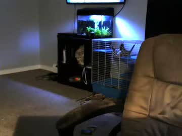 sean0203 hot cam