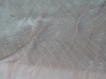 hot cam girl erikabee image #2692273