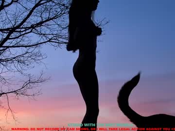 hot cam girl coy_amina image #528352