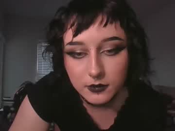 pastelkat hot cam