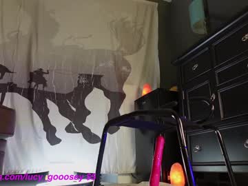 hot cam girl lucy_gooosey image #3838321