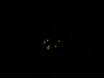hot cam girl eleonora_linn image #1911107